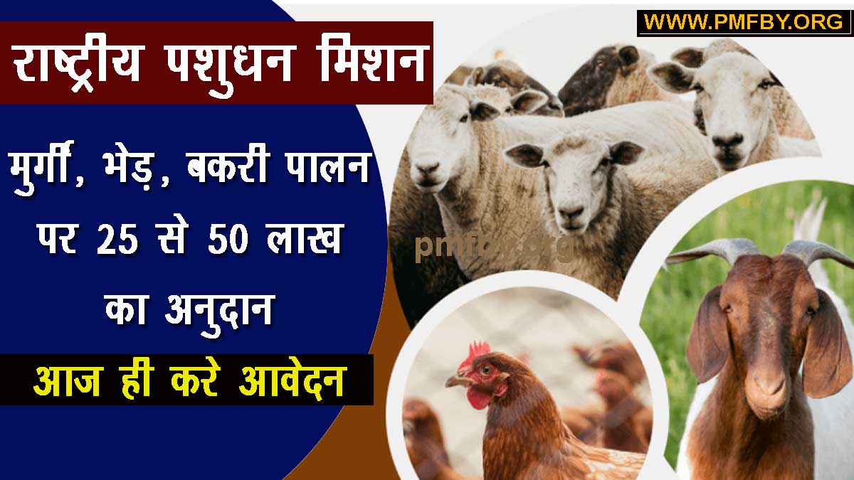 राष्ट्रीय पशुधन मिशन योजना 2023: पशुपालन पर सरकार दे रही है 25 से 50 लाख का अनुदान (Subsidy), ये है पूरी योजना राष्ट्रीय पशुधन मिशन योजना 2023: पशुपालन पर सरकार दे रही है 25 से 50 लाख का अनुदान (Subsidy), ये है पूरी योजना