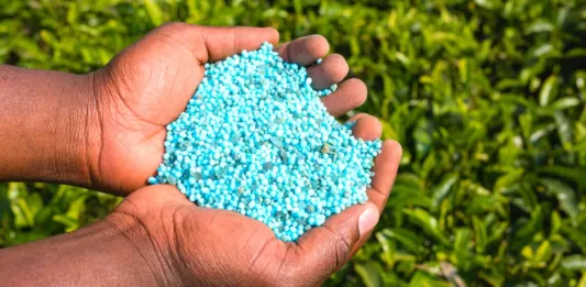 fertilizer